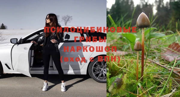 крисы Зерноград
