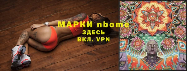 крисы Зерноград
