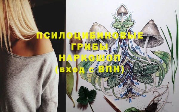 крисы Зерноград