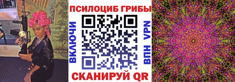 Псилоцибиновые грибы ЛСД  Купить где  Волхов 
