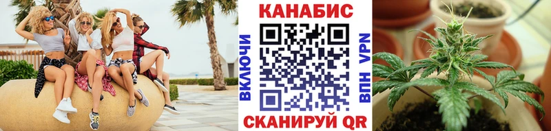 Канабис AK-47  Купить закладки  Волхов 